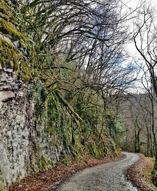 Солох-Аул Сочи - Tata Wolf