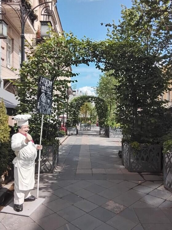 Зелёная арка - Дмитрий Никитин Зелёная арка - Дмитрий Никитин