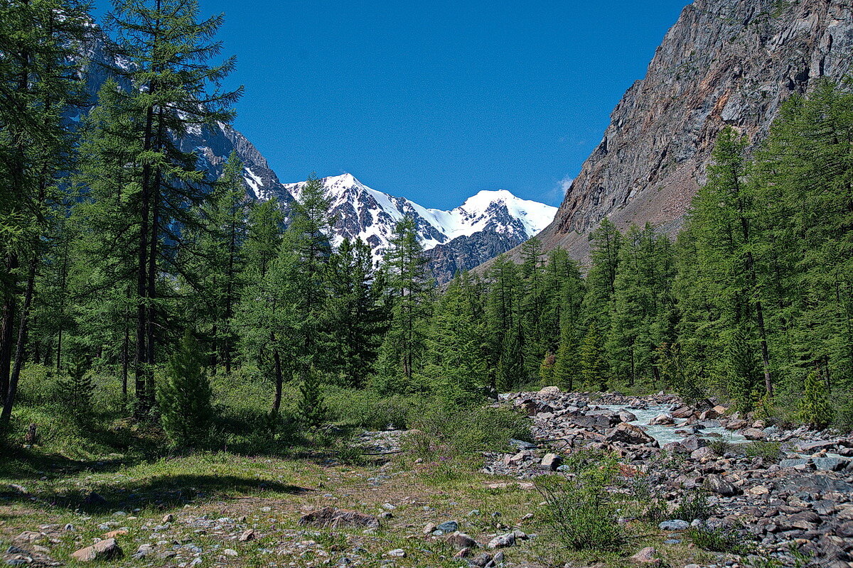 ЛЕДНИК БОЛЬШОЙ АКТРУ.  Северо-чуйский горный хребет. По Алтаю 90. - Виталий Половинко
