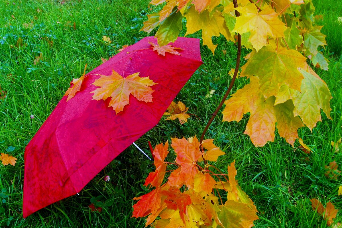 ДОЖДЛИВО - Татьяна Касьяненко