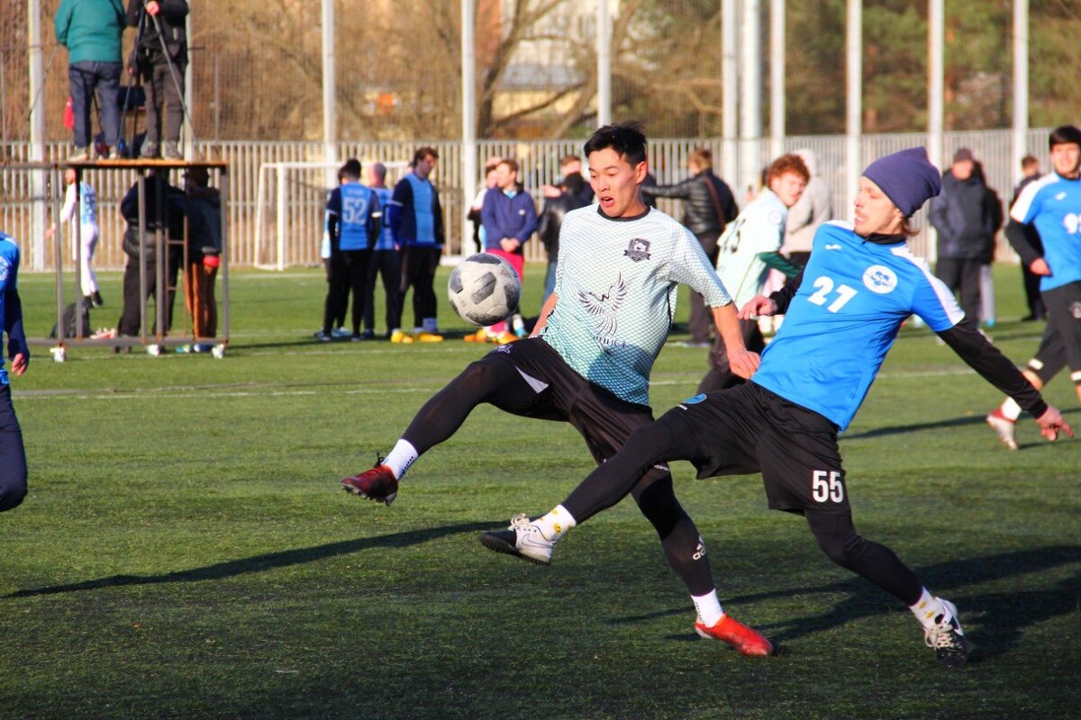 Синхронизация - Екатерина Шурыгина