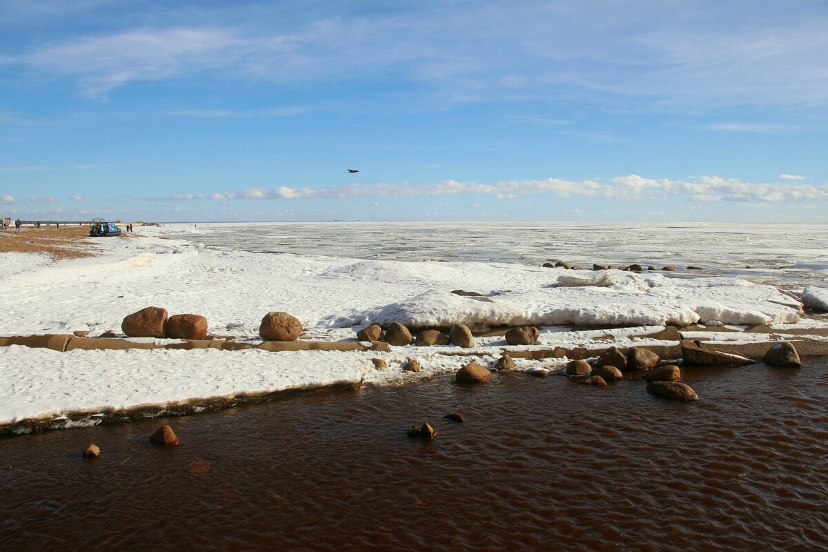 Зеленогорск. Март - Наталья Герасимова