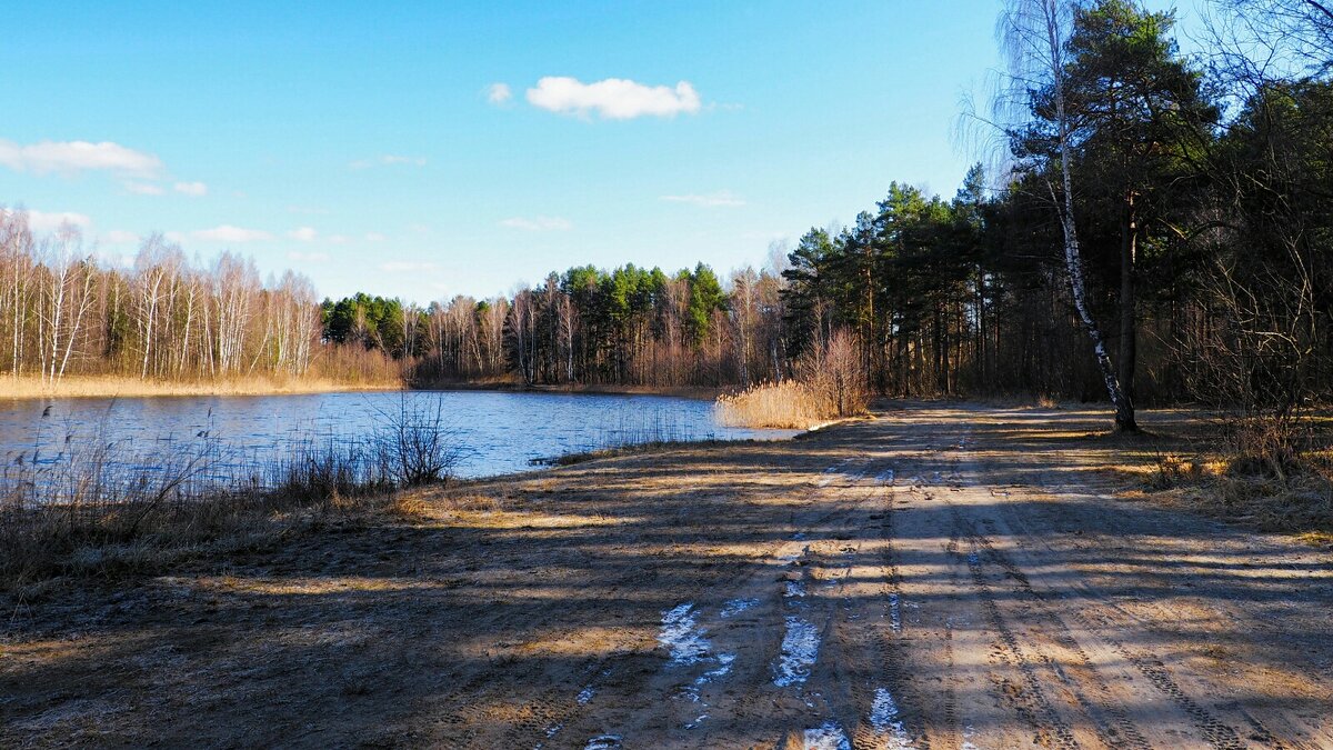 Про смоленскую весну . - Милешкин Владимир Алексеевич 