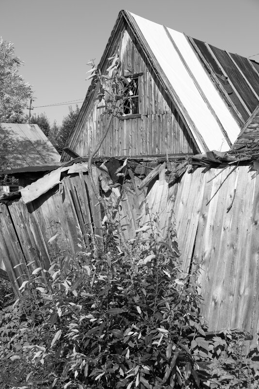 Название отсутствует - Денис Безногов Название отсутствует - Денис Безногов