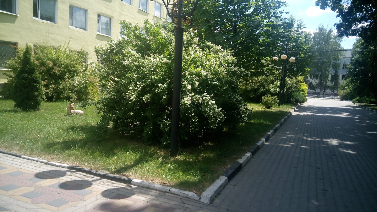 ,,, - Сергей Тимоновский