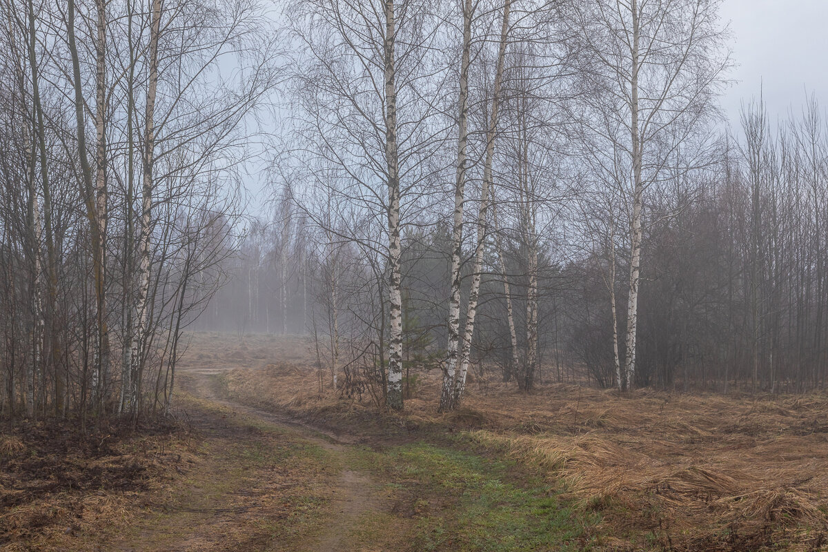 **** - Елизавета .