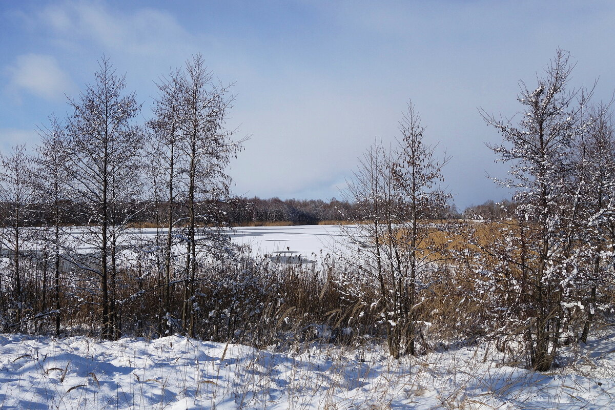 Зимушка-зима - Рита Симонова