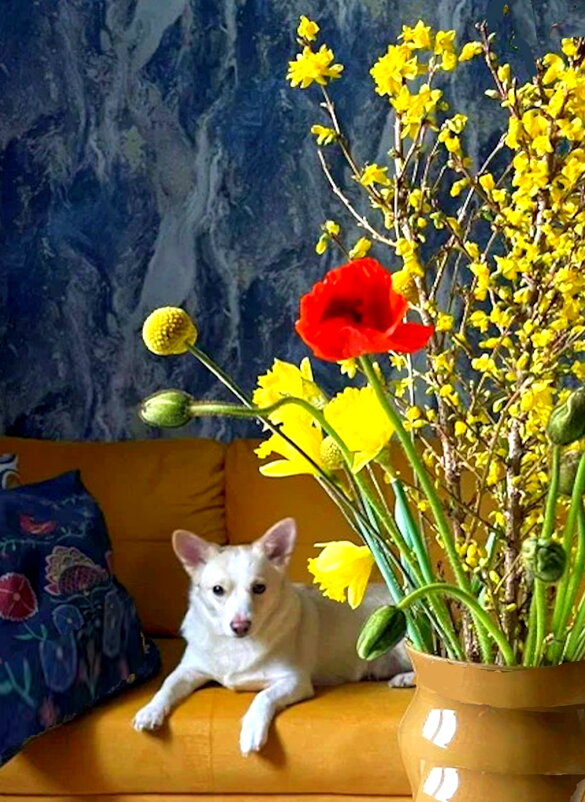 Весеннее настроение - Ольга Довженко