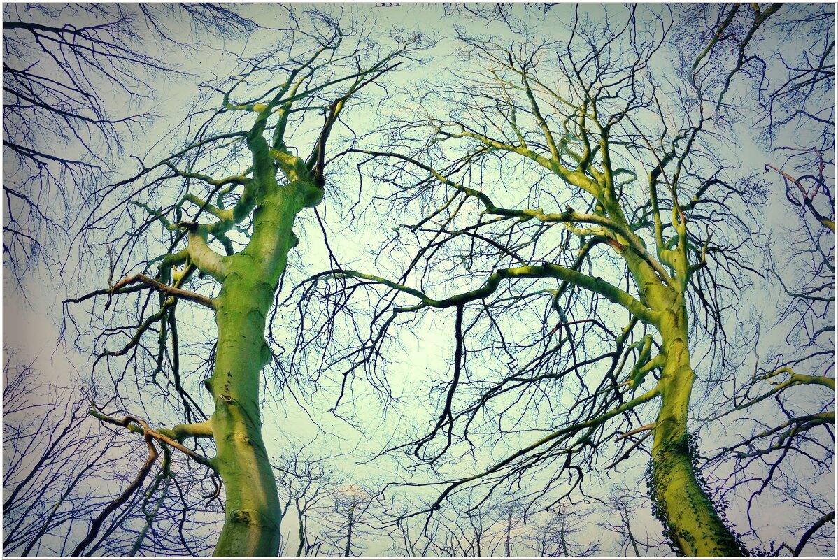 РАЗБОРКИ... - Elvira E. 