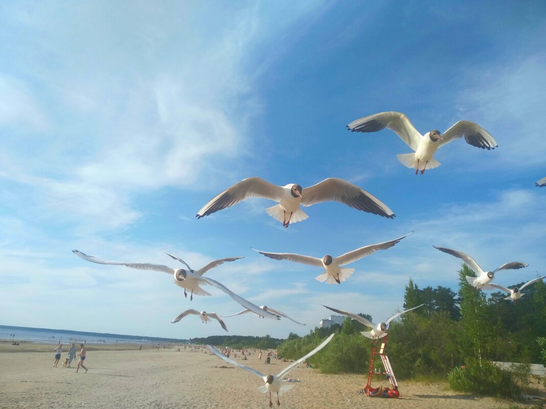 Все проходит в этом мире, снег сменяется дождем... - Петр Мерзляков Все проходит в этом мире, снег сменяется дождем... - Петр Мерзляков