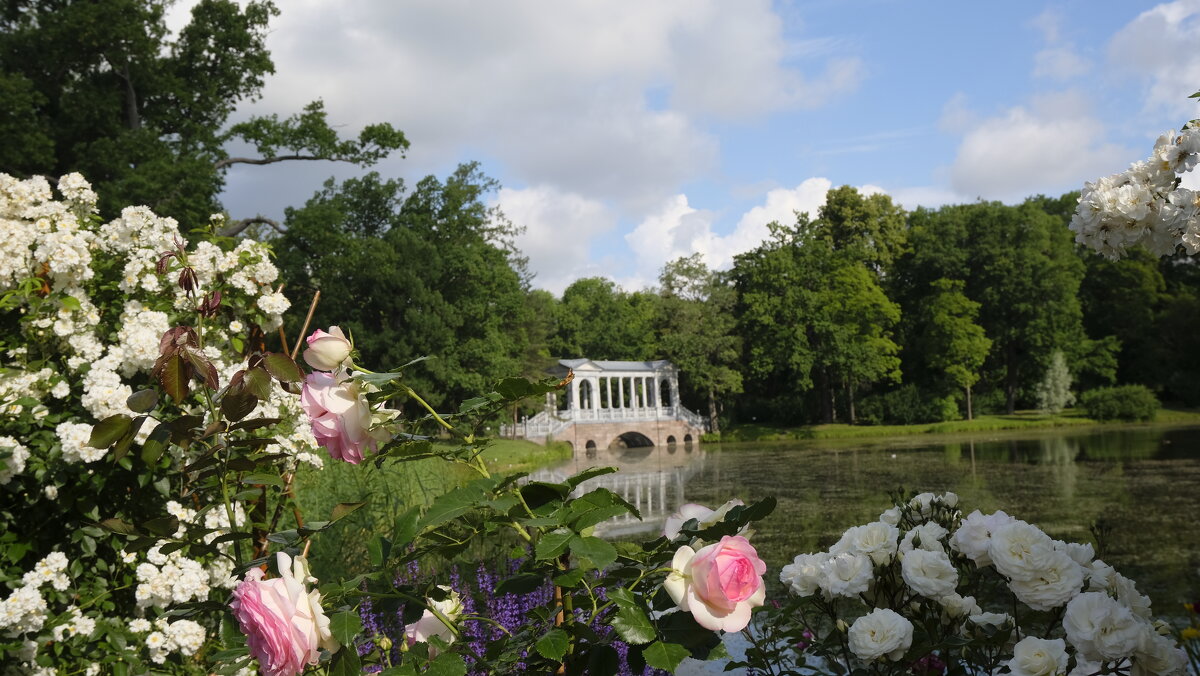 Царское село, вид на мраморный мост - Олег Зоркий Царское село, вид на мраморный мост - Олег Зоркий