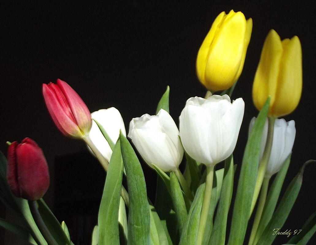 Весенний букет - Freddy 97 Весенний букет - Freddy 97