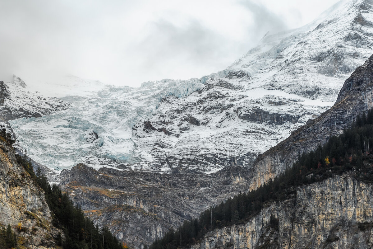 Ледник - Владимир Колесников Ледник - Владимир Колесников