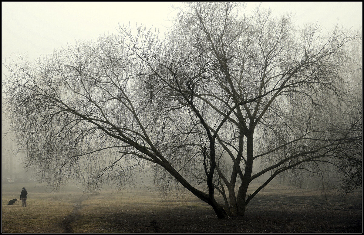 ..в любую погоду... - Aleksandr Gal ..в любую погоду... - Aleksandr Gal