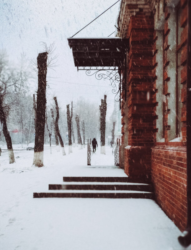 По улице Брянска - Sergei Vikulov