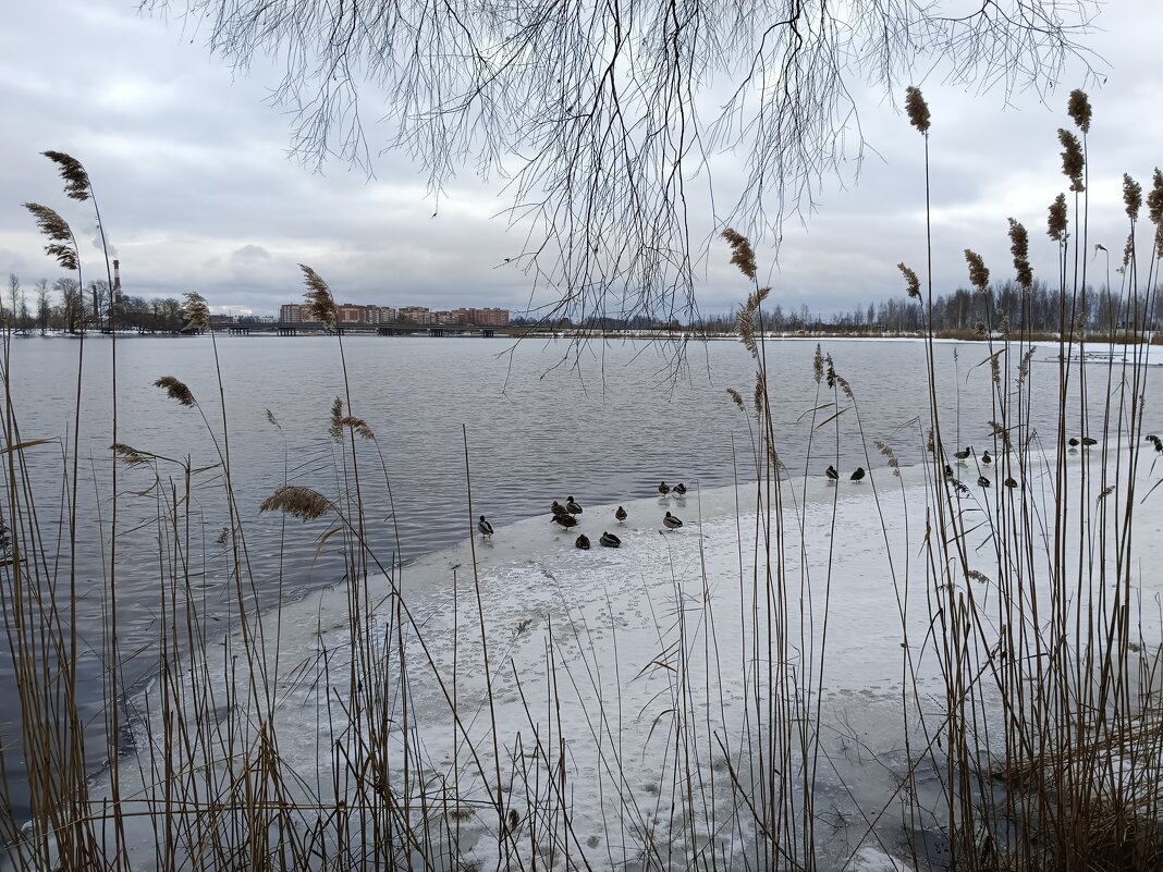 Весенний мотив - Мария Васильева