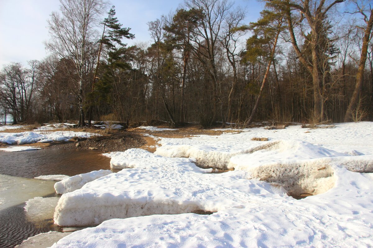 Зеленогорск. Март - Наталья Герасимова Зеленогорск. Март - Наталья Герасимова