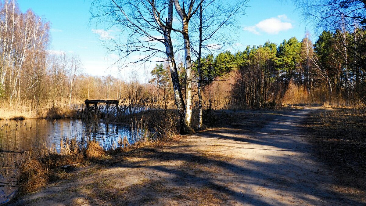 Про смоленскую весну (репортаж из поездок по области). - Милешкин Владимир Алексеевич 