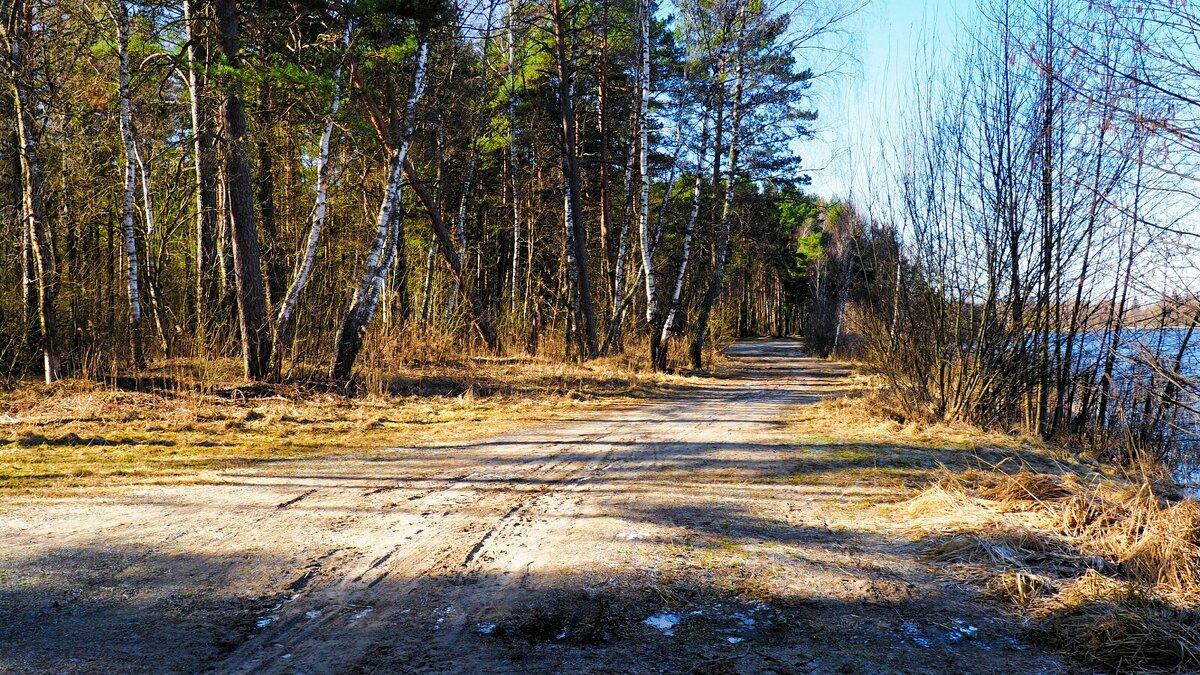 Про смоленскую весну - Милешкин Владимир Алексеевич Про смоленскую весну - Милешкин Владимир Алексеевич