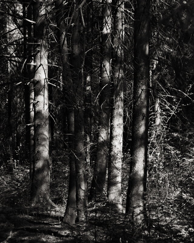 Название отсутствует - Денис Безногов