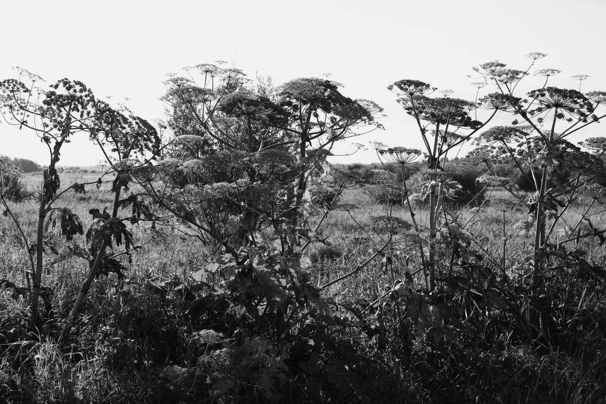 Название отсутствует - Денис Безногов