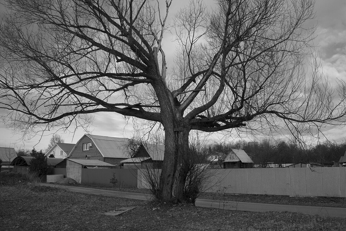 *** - Владимир Носов *** - Владимир Носов