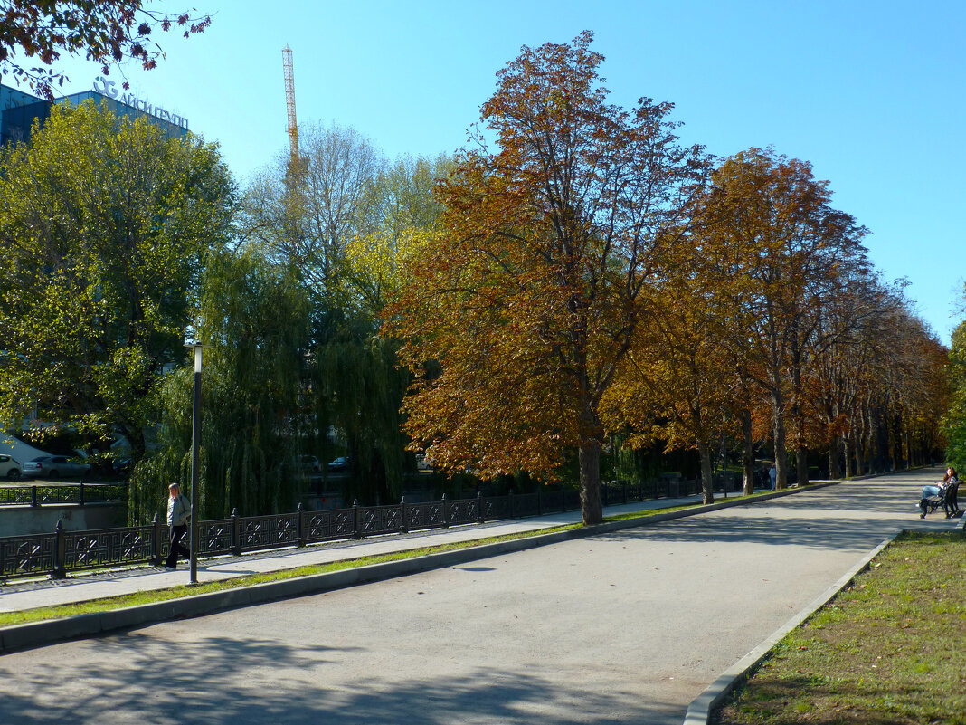 Осень,октябрь 2024 года - Валентин Семчишин Осень,октябрь 2024 года - Валентин Семчишин