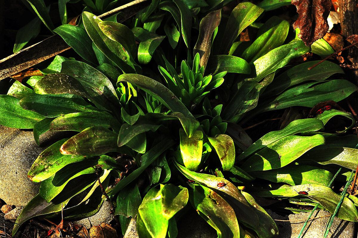 Не знаю, как называется. Но красиво! - Юрий Гайворонскiий Не знаю, как называется. Но красиво! - Юрий Гайворонскiий