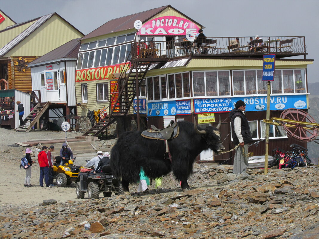 Д - Андрей Л. В.
