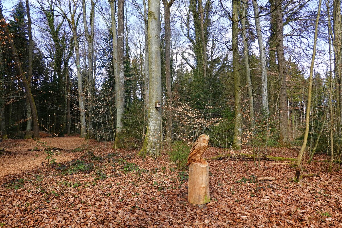 В сказочном лесу..... - Галина В сказочном лесу..... - Галина