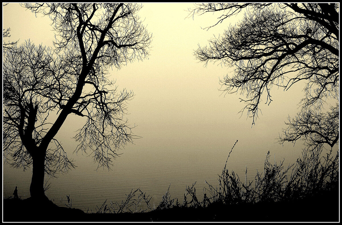 Туманчик ... - Aleksandr Gal Туманчик ... - Aleksandr Gal