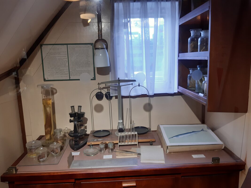 В музее Мирового океана - Галина Минчук В музее Мирового океана - Галина Минчук