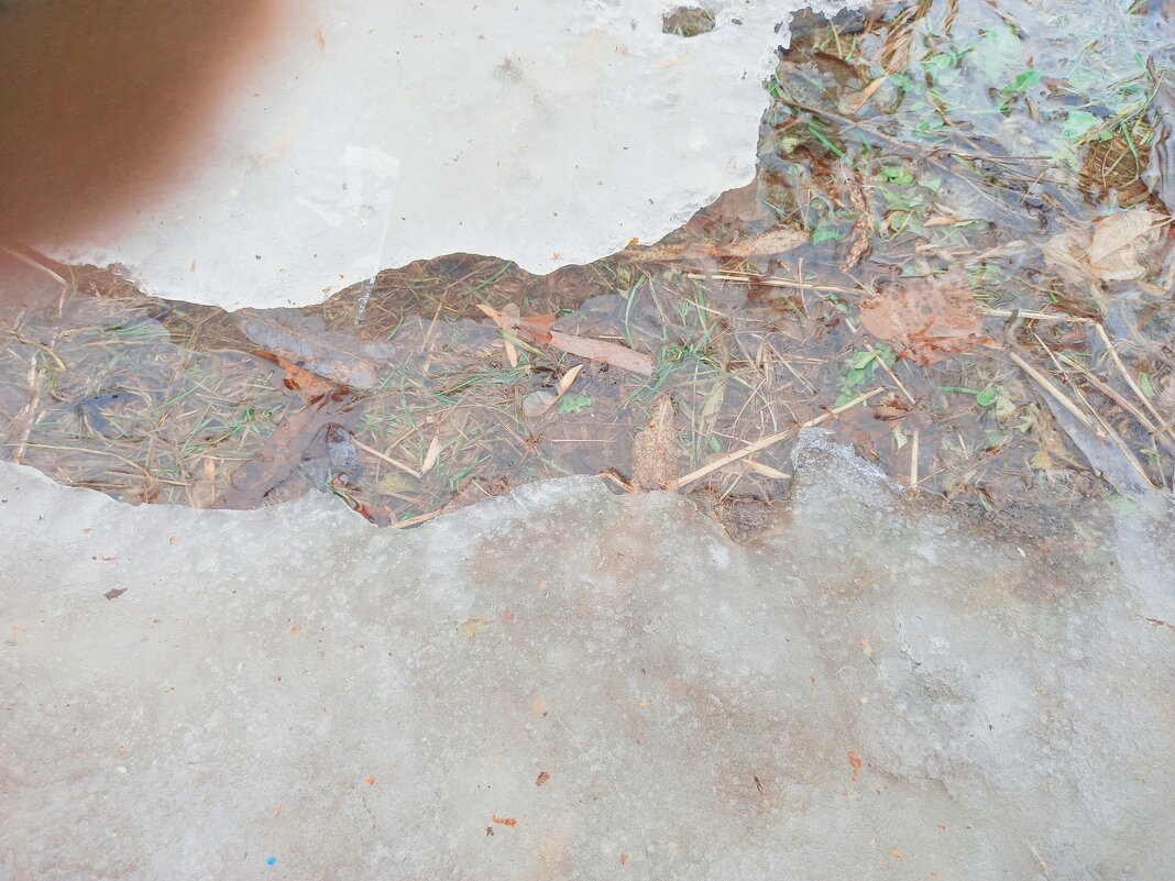 Северная река. - Игорь Солдаткин