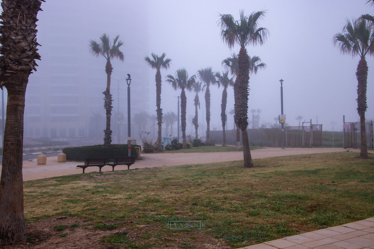 Туман. - Argaman Табашник Туман. - Argaman Табашник