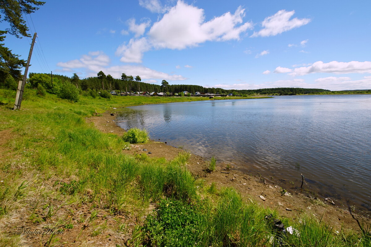 У коллективных садов... - Николай Гирш