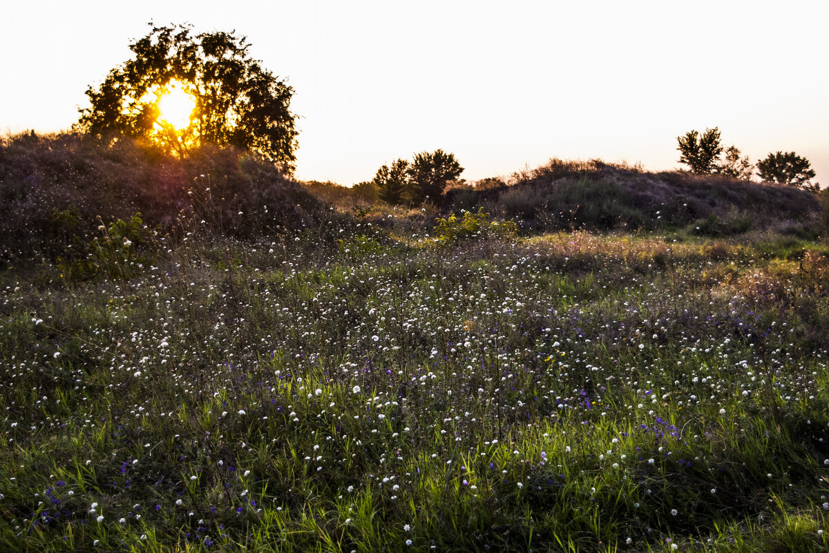 Модный закат - Коля Лукашов Модный закат - Коля Лукашов