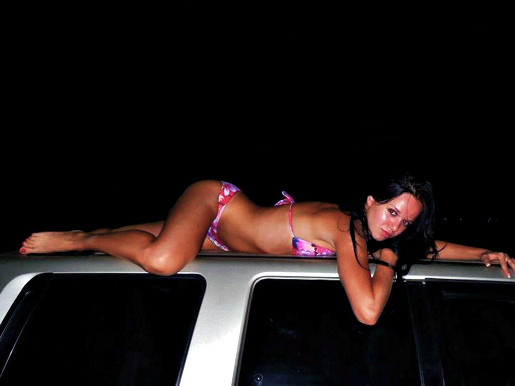 ПРОТИВОУГОННОЕ   УСТРОЙСТВО - Анатолий Малобродский