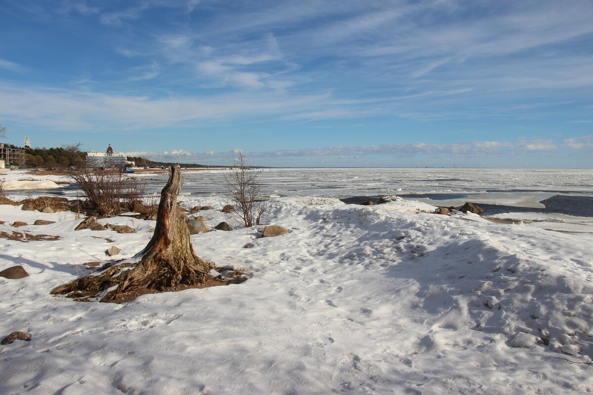Зеленогорск. Март - Наталья Герасимова Зеленогорск. Март - Наталья Герасимова