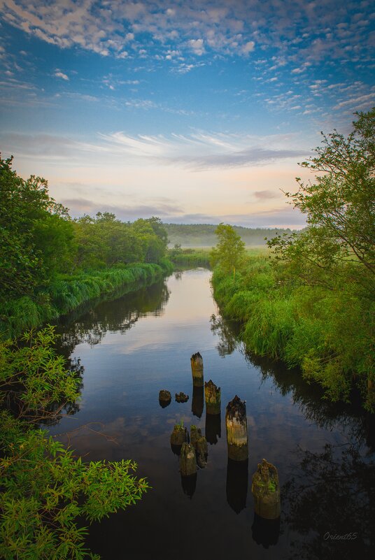 Утро - Alexander Fedotov