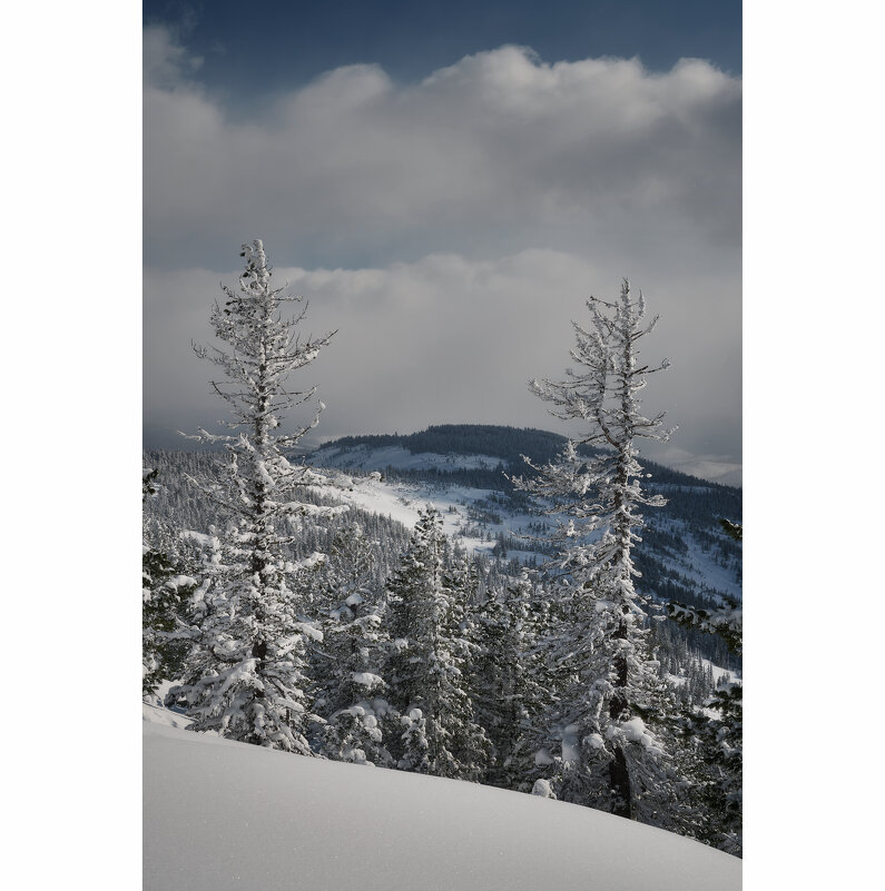 * - Александр Иванов * - Александр Иванов