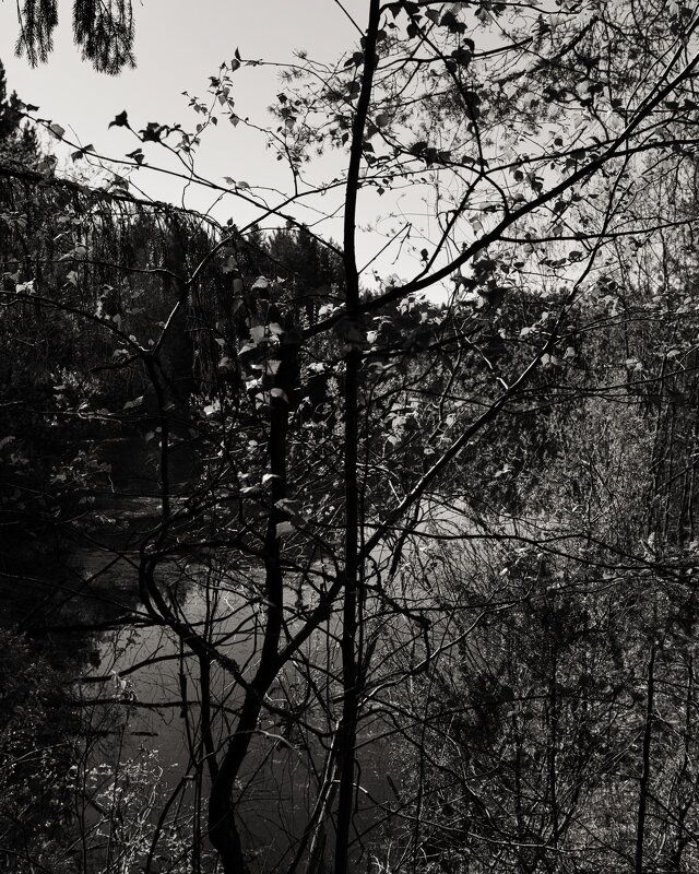 Название отсутствует - Денис Безногов