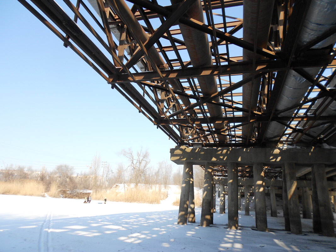 февраль - Елена Шаламова