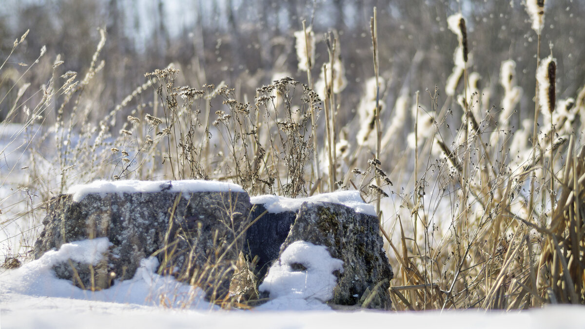 Остатки - sorovey Sol