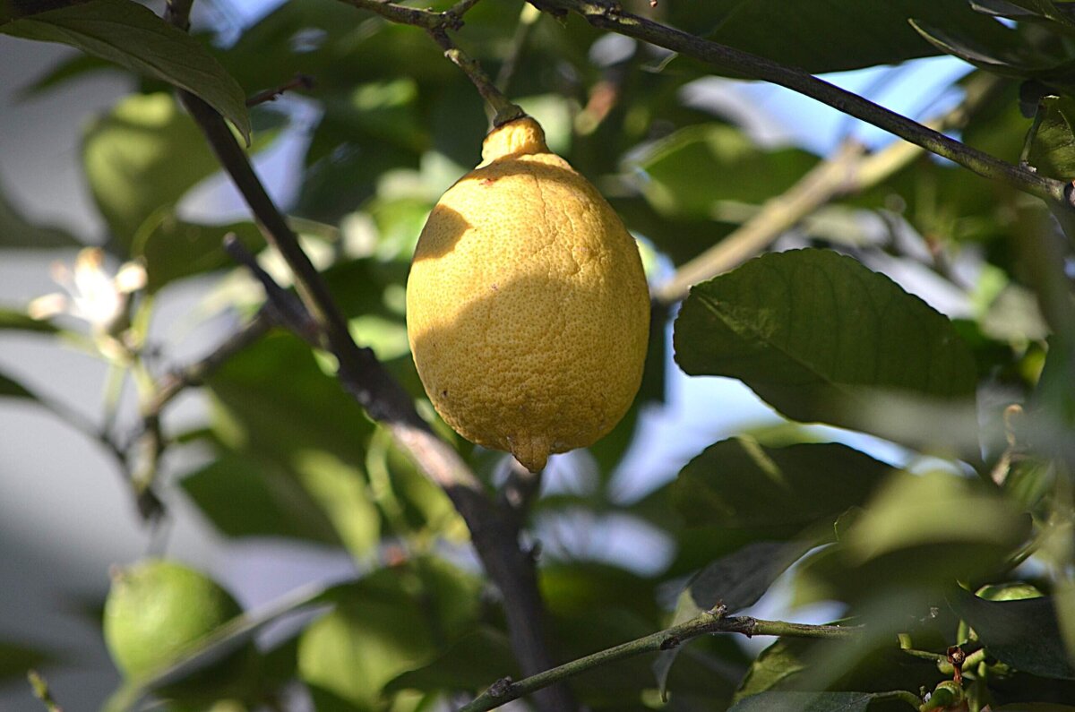 Репетиция весны - Татьяна Тюменка Репетиция весны - Татьяна Тюменка