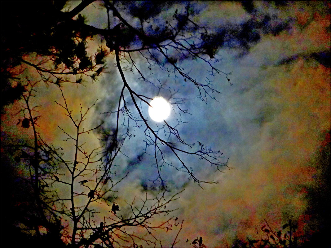 ЛУННАЯ НОЧЬ - Юрий Владимирович 34