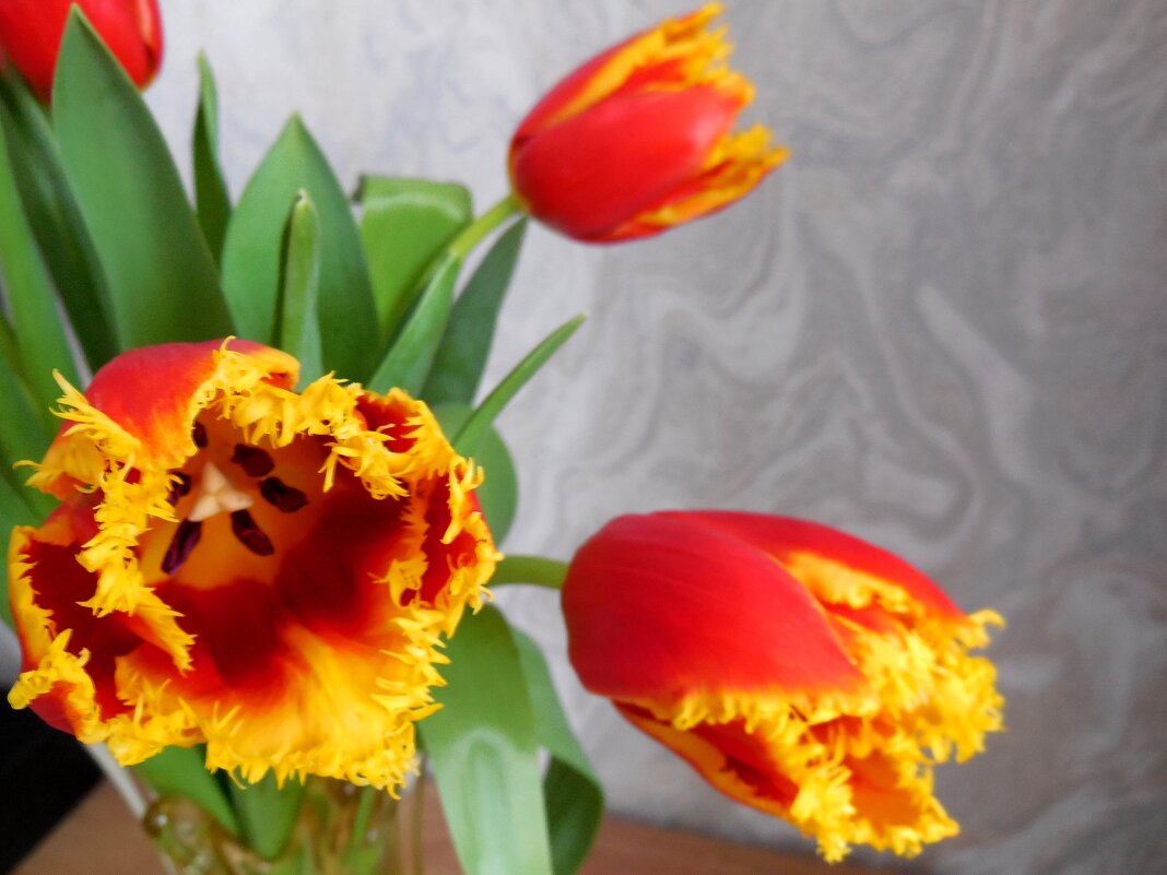 Весна! - Надежда Весна! - Надежда