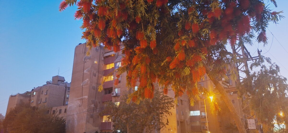 12  КЛОС (787) - CLOSE WAYS ALL