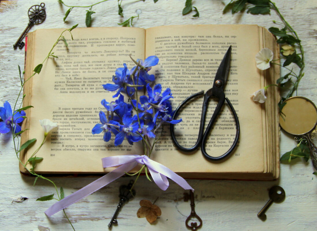 Натюрморт! - жанна нечаева Натюрморт! - жанна нечаева