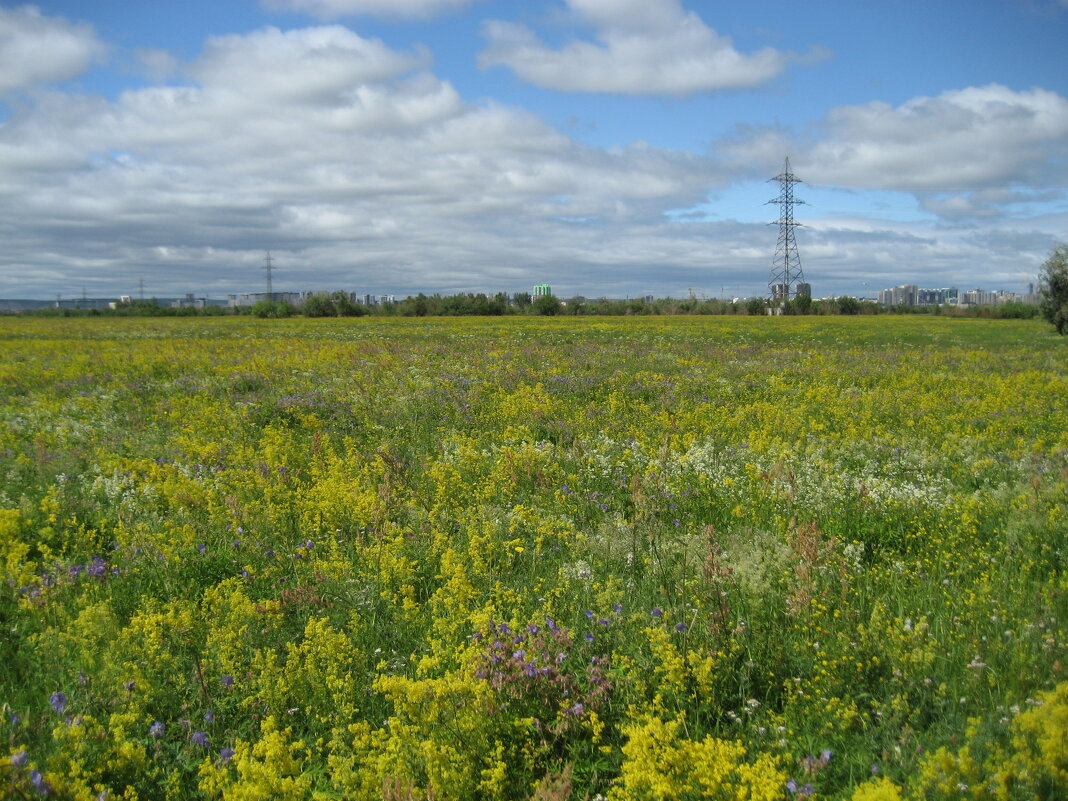 Лето - Anna Ivanova