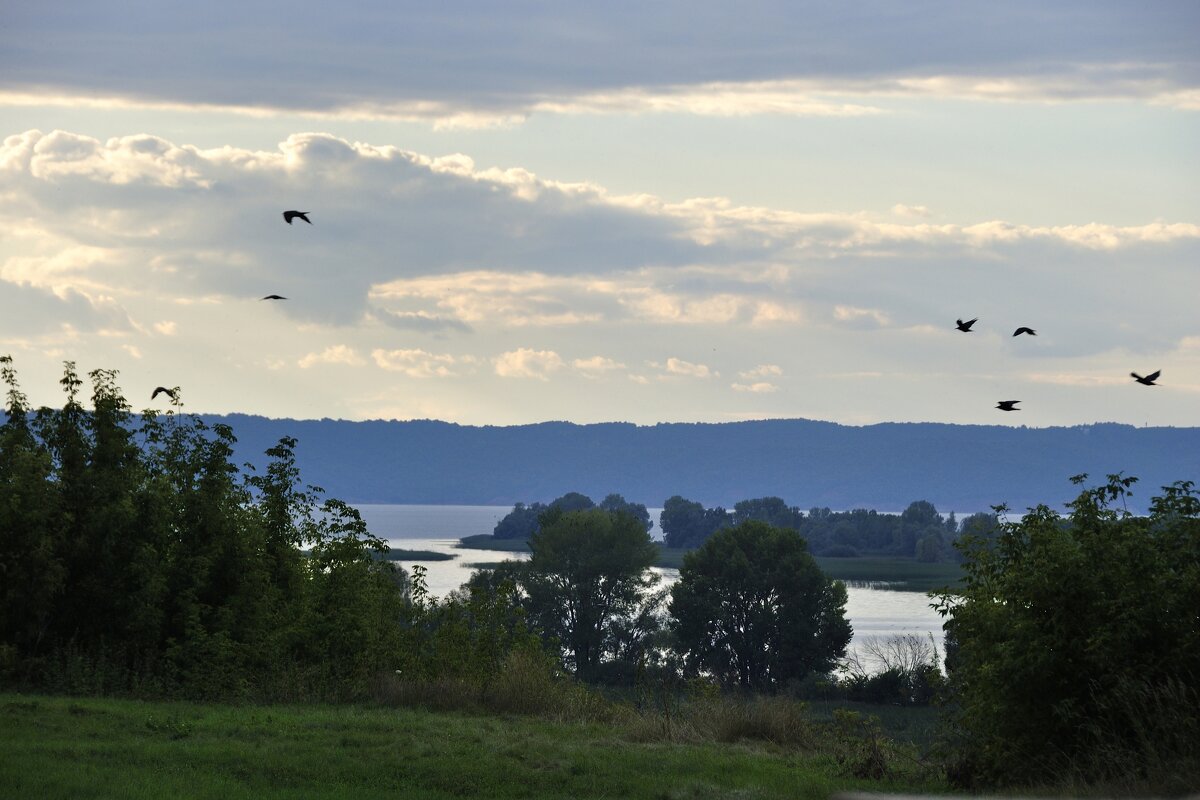*** - Марина Виноградова *** - Марина Виноградова